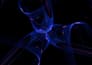 create a premium abstract motion loop for a website and app